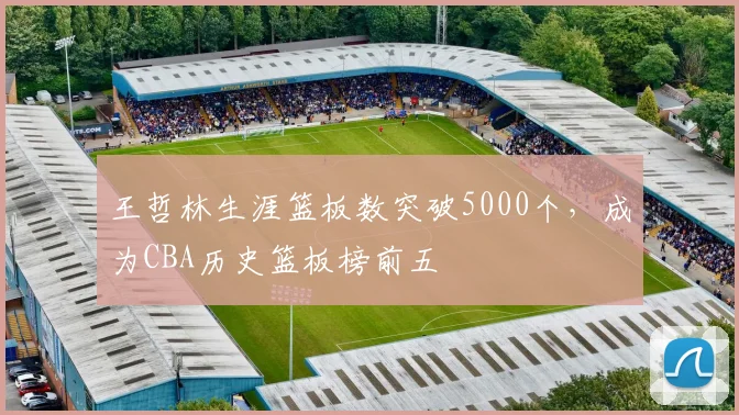 王哲林生涯篮板数突破5000个，成为CBA历史篮板榜前五